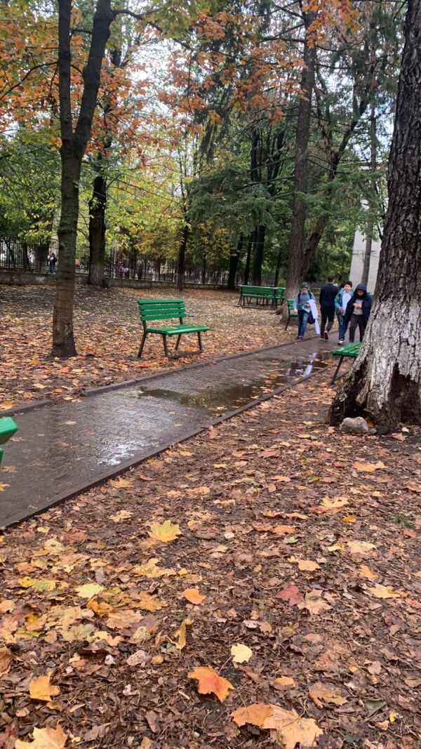 Turul parcurilor Bacăului pe bicicletă - Image 3